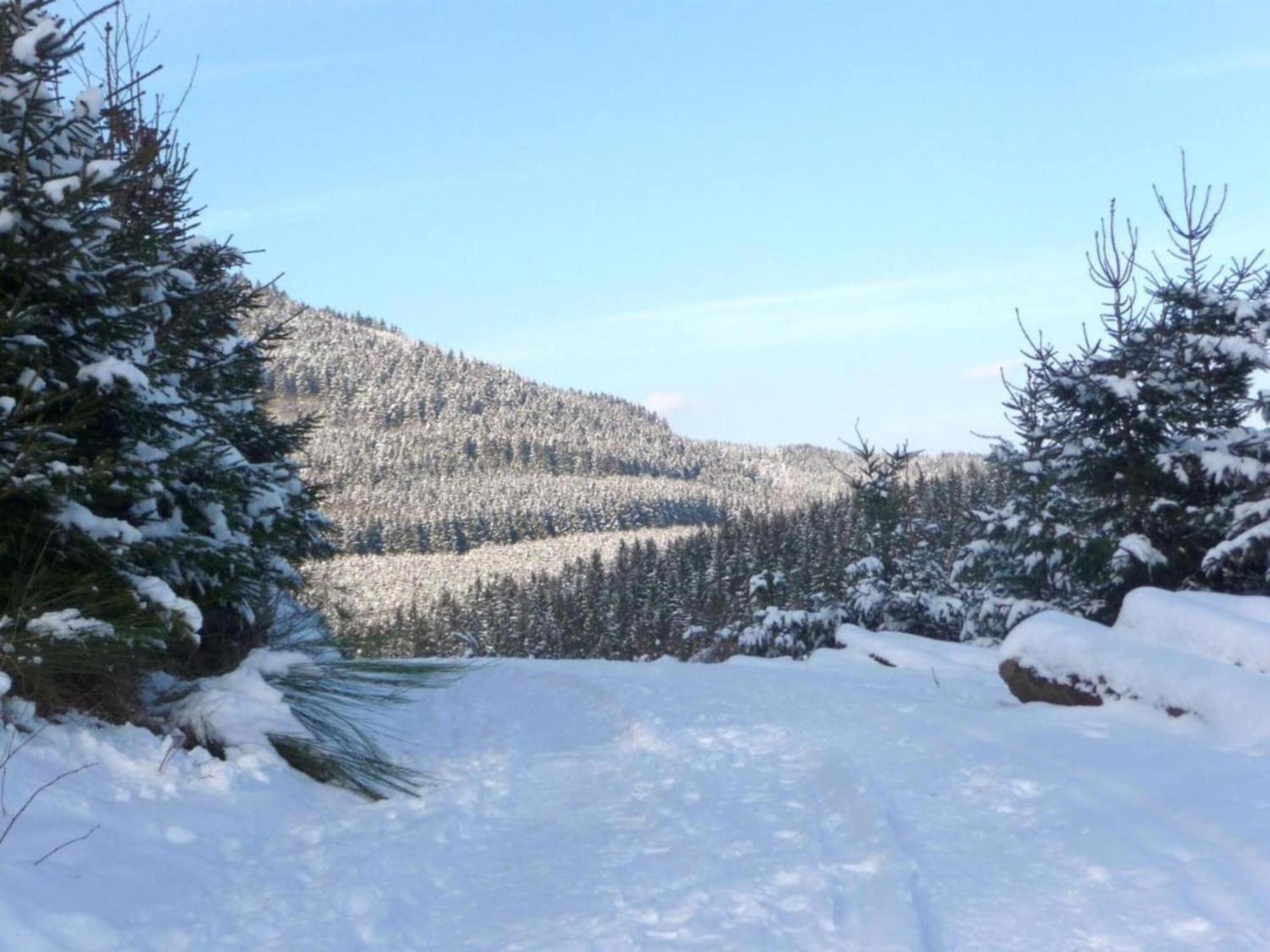Apartment On The Edge Of The Forest Eslohe Esterno foto